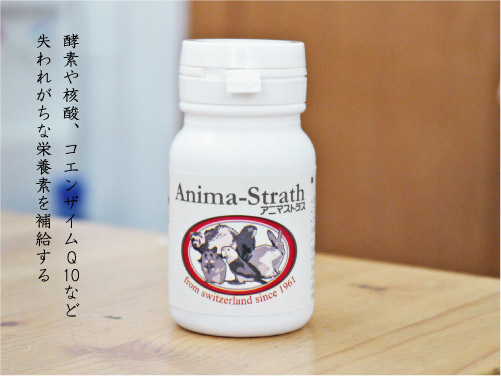 ハーブ酵母サプリメント アニマストラス 顆粒 20g