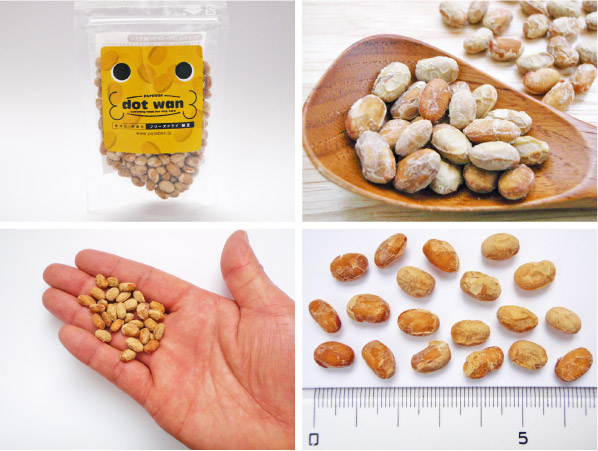 ドットわん納豆30g