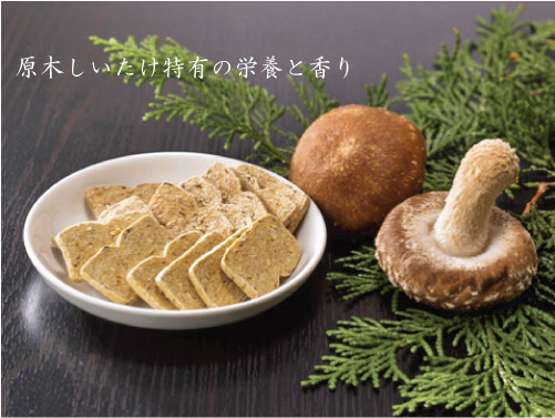 ドットわん 逸品シリーズ 原木しいたけクッキー