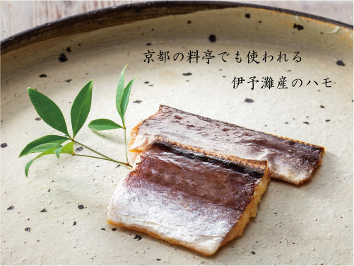 数量限定 ドットわんの逸品シリーズ 伊予灘ハモ蒸し
