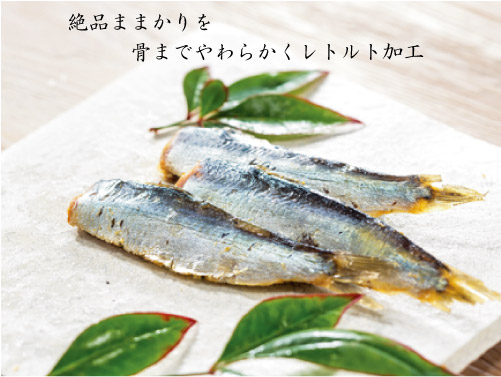 ドットわんの逸品シリーズ 岡山ままかり