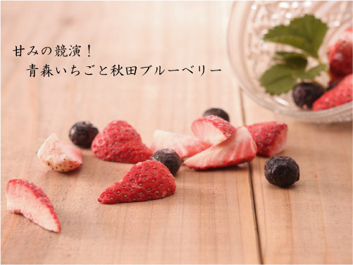 ドットわんの逸品シリーズ フリーズドライ いちご&ブルーベリー