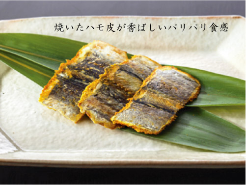 数量限定 ドットわんの逸品シリーズ 瀬戸内ハモ手焼き