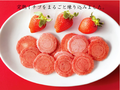 数量限定 ドットわんの逸品シリーズ 信州完熟イチゴせんべい