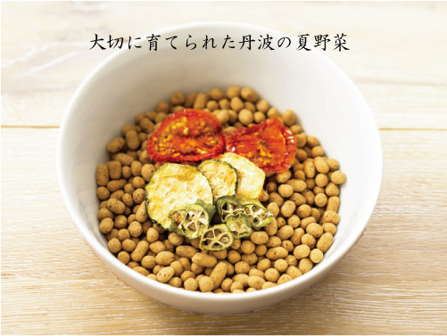 ドットわんの逸品シリーズ 丹波夏野菜 トマト・オクラ・ズッキーニ