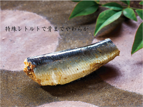 ドットわんの逸品シリーズ 宇佐一本釣り イワシ水煮