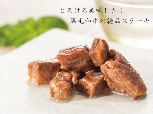 ドットわん ウェットシリーズ 黒毛和牛ステーキ