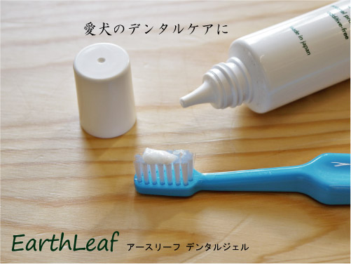 EARTHLEAF アースリーフ デンタルジェル