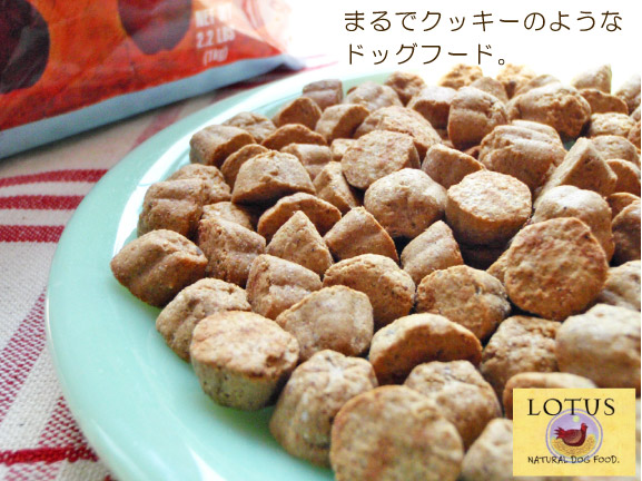 LOTUS ロータス アダルト チキンレシピ
