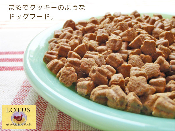 ＬＯＴＵＳ ロータス　アダルト　チキンレシピ（小粒）