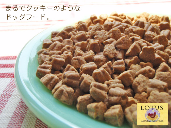 ＬＯＴＵＳ ロータス　パピー　チキンレシピ　（小粒）