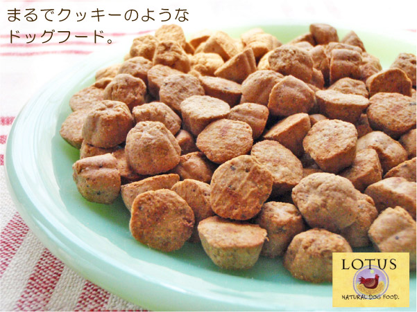 ＬＯＴＵＳ ロータス　シニア　チキンレシピ