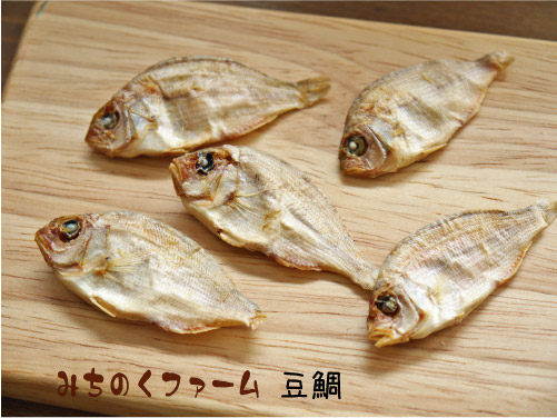 みちのくファーム 豆鯛