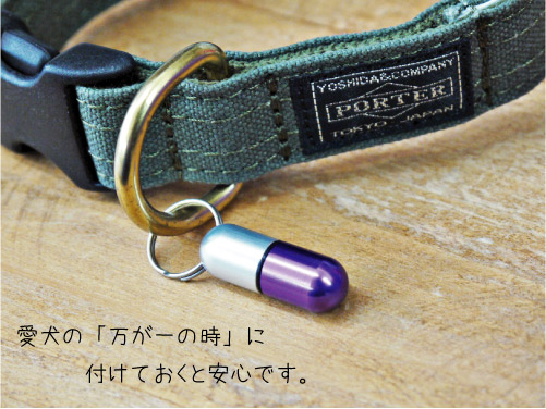 クチ