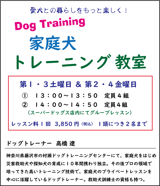 犬のしつけ教室　家庭犬トレーニング教室